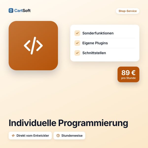 Individuelle Programmierung (pro Stunde) – Du brauchst eine Funktion, die es noch nicht gibt? Wir programmieren sie – als eigenes